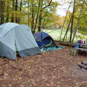 Campsite #4 Field View Tent/Truck