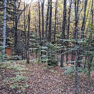Path to outhouse