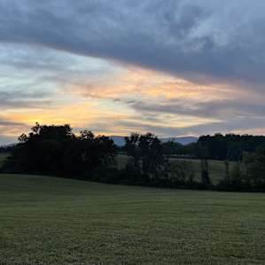 Tent Camping with Vineyard views