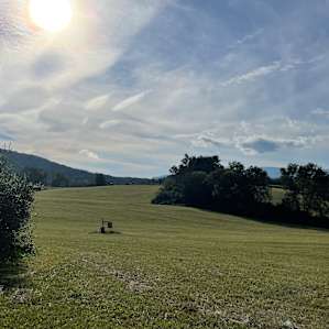 Tent Camping with Vineyard views