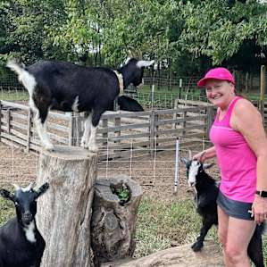 Petting the friendly goats