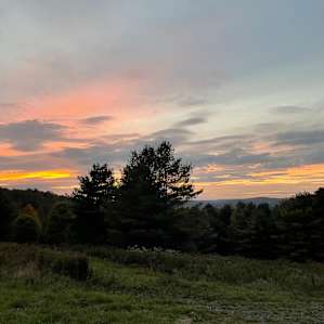 Homestead/Forest Camping