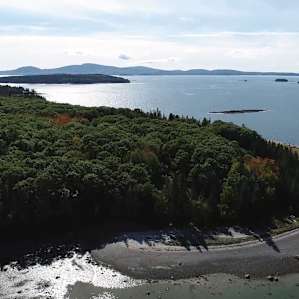 Farmhouse on the Bay Woods