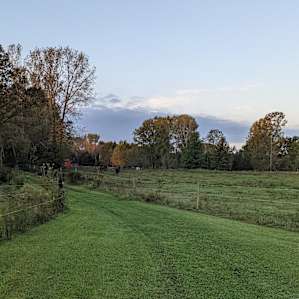 Quiet Family Horse Farm