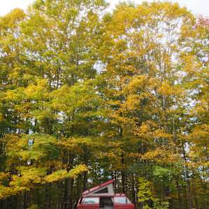 Firefly Farm at Burke Hollow