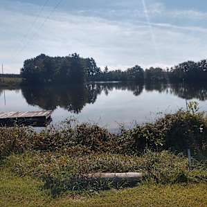 Cbo & Dana's Lakeside Camp