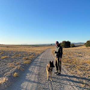 Morning walk