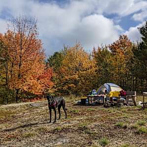 Campsite, fire, bench etc all set up