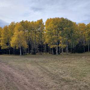 E<< Campground NM