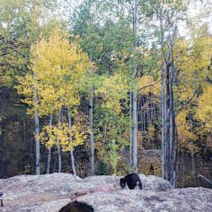 E<< Campground NM