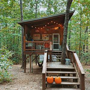 Coziest and peaceful little cabin in the woods. We felt safe yet secluded.