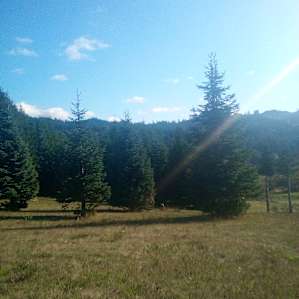 Woodland Hills Ranch.