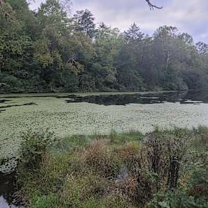 Nature Lover's retreat