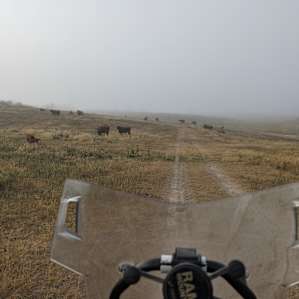 Lazy AA Land & Cattle Camping