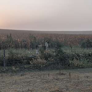 Lazy AA Land & Cattle Camping