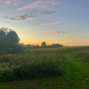 Hudson Valley Farm Camping