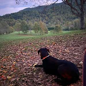 Newfound Campground