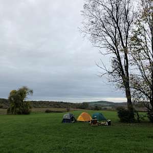 Lane's End at State Line Bunks!