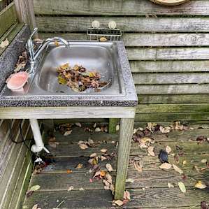 Upon arrival this is how we found the site. Dead Bird in Sink/Shower Area, Sink full of Leaves.