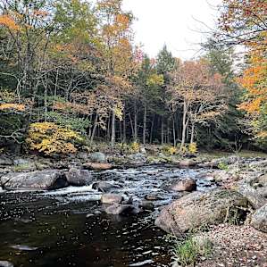 Riverside Lot
