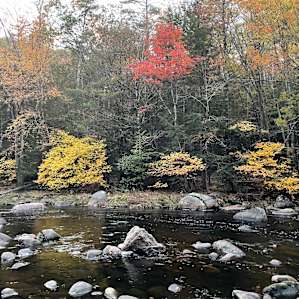 Riverside Lot