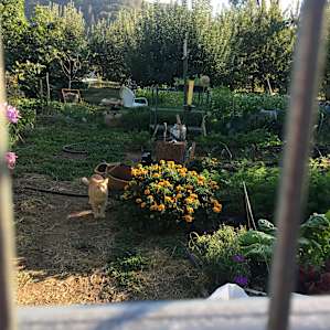 Organic Farmhouse