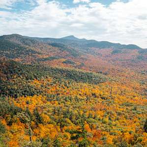 Fall foliage | Photo by Zak Suhar | zaksuhar.com | @zaksuhar