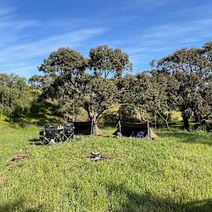 Concordia Gully Campsite