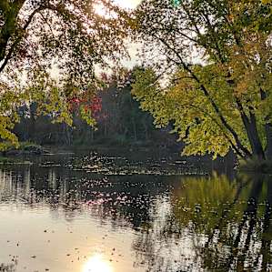 Riverview cabin