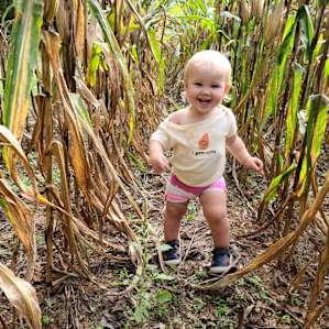Exploring the corn fields
