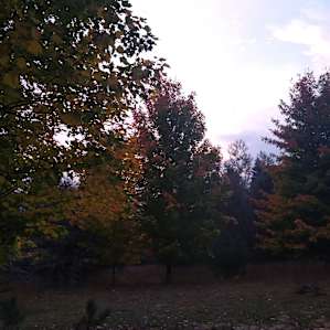 Camp Stonewood Ranch