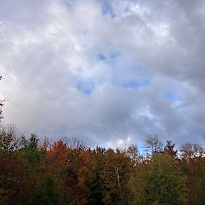 Bliss Field RV or Tent Campsite