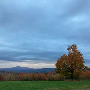 Bliss Field RV or Tent Campsite