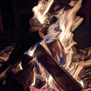 Greenheart Forest Primitive Camping