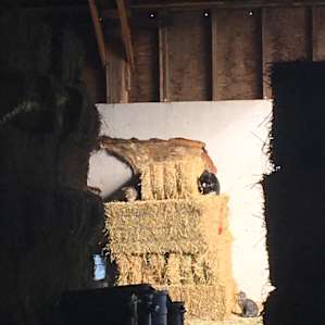 Authentic Barn BnB Stall #2