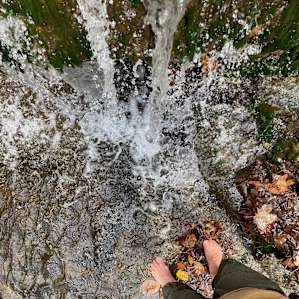 Feeling the fall flow