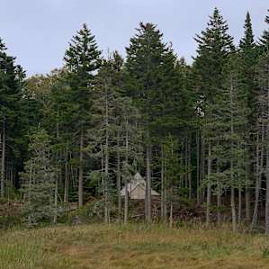 View of tent from the coast.