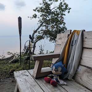 Sonic. Just chillin.