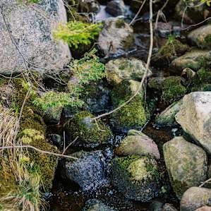 This little stream isn't much to look at but adds beautiful sound to the area