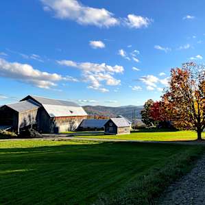 Walking back to the Milkhouse after a nice trail walk.