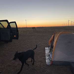 Coyote Breaks Farm