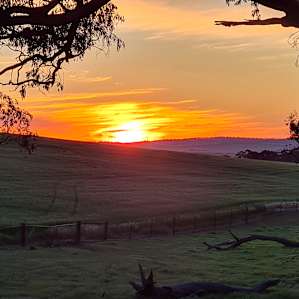 Fantastic sunset