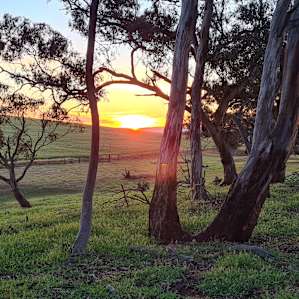 Riverton - Tiny Creek Paddock