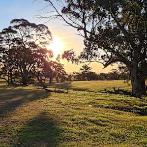 Riverton - Tiny Creek Paddock