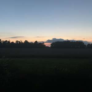Sunset