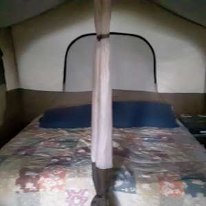 Glamping Tent Nestled in the Forest