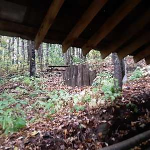 Glamping Tent Nestled in the Forest