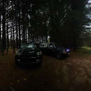 Sway Forest Private Camp