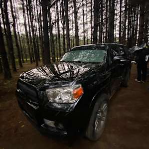 Sway Forest Private Camp