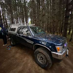 Sway Forest Private Camp